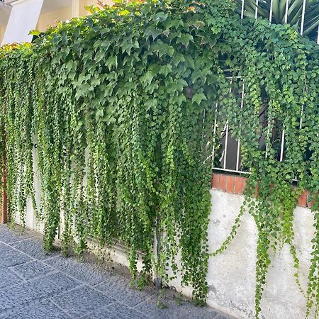 Ammore Ammare Apartment Ischia Dış mekan fotoğraf