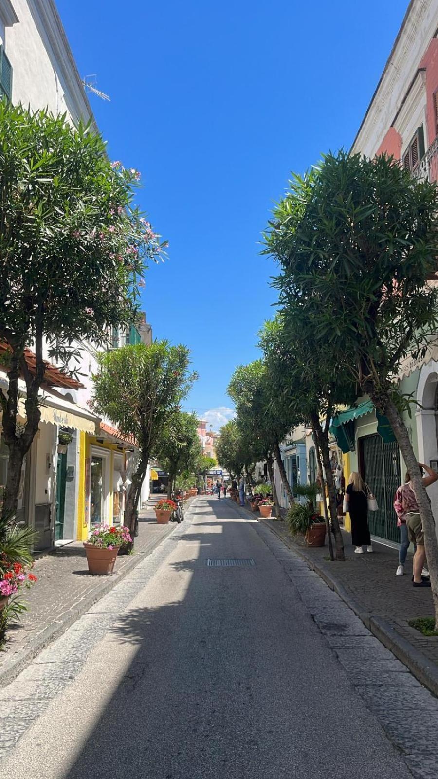 Ammore Ammare Apartment Ischia Dış mekan fotoğraf